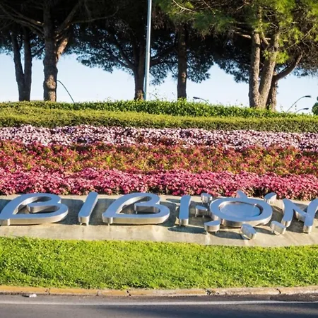 Spacious Beachfront With Terrace Bibione